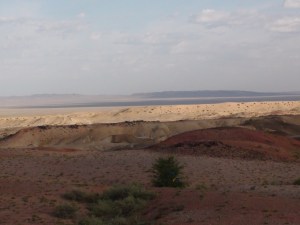 DSC00841 (2)