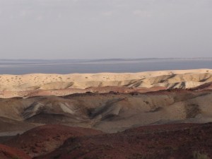 DSC00842 (2)