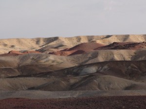 DSC00843 (2)