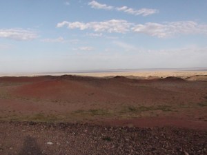 DSC00845 (2)
